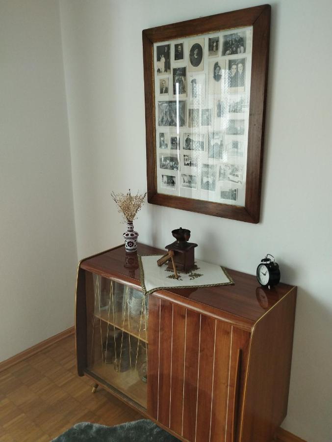 Apartmani Gruzdovo Delnice Dış mekan fotoğraf