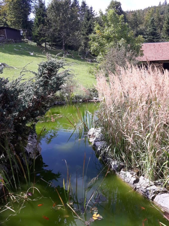 Apartmani Gruzdovo Delnice Dış mekan fotoğraf