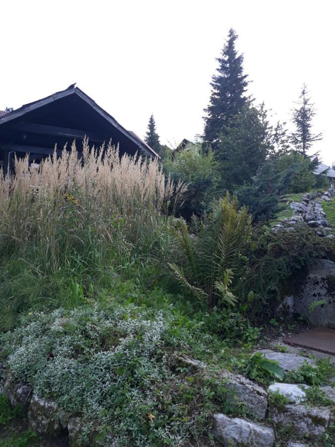 Apartmani Gruzdovo Delnice Dış mekan fotoğraf