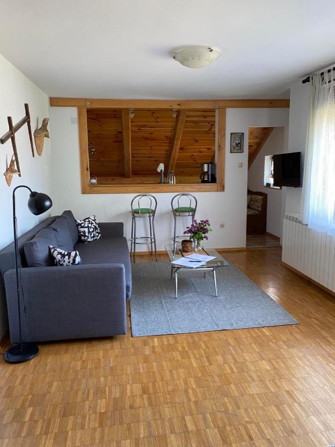 Apartmani Gruzdovo Delnice Dış mekan fotoğraf