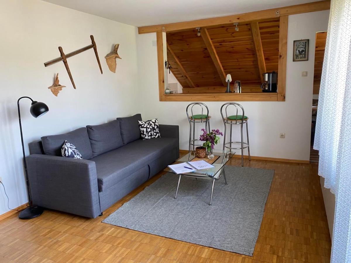 Apartmani Gruzdovo Delnice Dış mekan fotoğraf